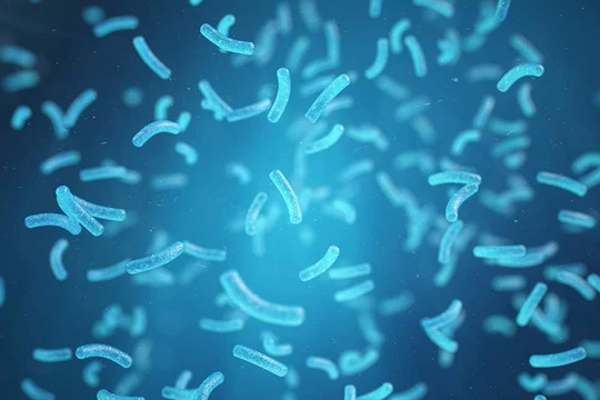 Loại vi khuẩn được kỳ vọng là “vị cứu tinh” của Trái Đất.