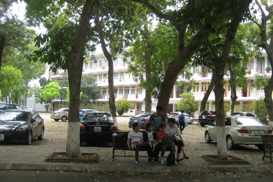 Ngay cả với một trường đại học hàng đầu như ĐH Bách khoa Hà Nội thì cũng đến không dưới 50% sinh viên ngành CNTT không biết gì về mã tổ hợp và mã dựng sẵn của tiếng Việt trong Unicode mà báo chí đã tốn rất nhiều giấy mực