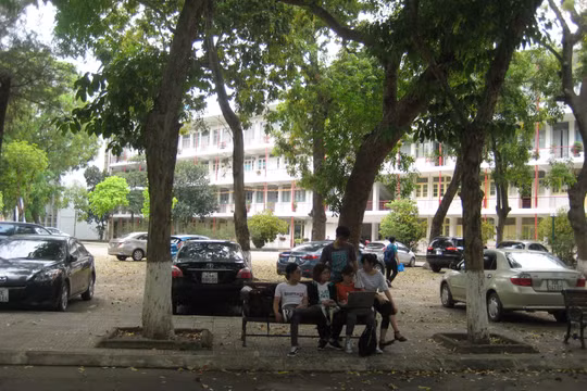 Ngay cả với một trường đại học hàng đầu như ĐH Bách khoa Hà Nội thì cũng đến không dưới 50% sinh viên ngành CNTT không biết gì về mã tổ hợp và mã dựng sẵn của tiếng Việt trong Unicode mà báo chí đã tốn rất nhiều giấy mực