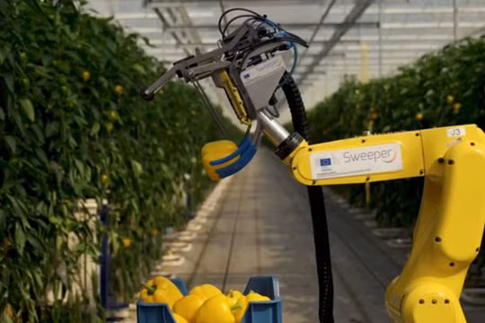 Ảnh: Sweeper Robot