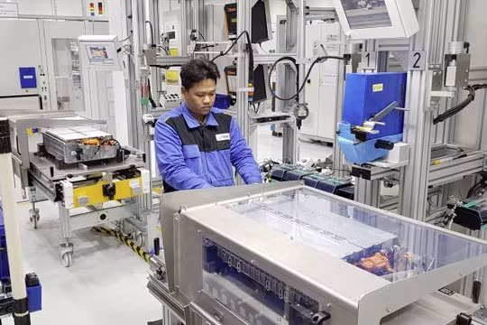 Nhà máy có diện tích 50.000 m2 và số lượng công nhân sản xuất gồm 100 người. 