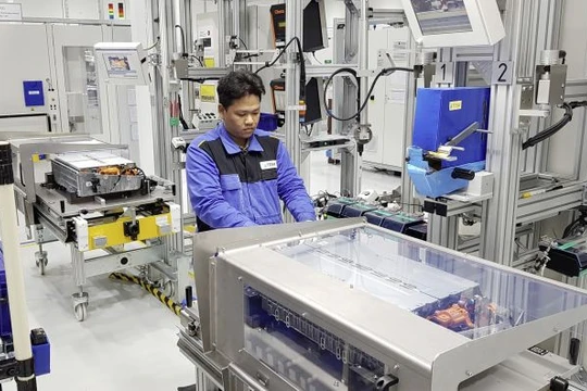 Nhà máy có diện tích 50.000 m2 và số lượng công nhân sản xuất gồm 100 người. 