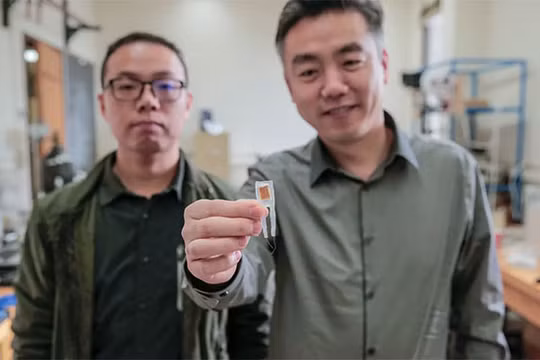 Thiết bị tạo cảm giác no được đặt trong dạ dày và kết nối với não.