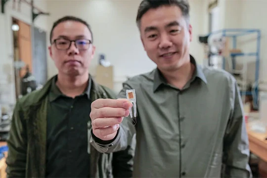 Thiết bị tạo cảm giác no được đặt trong dạ dày và kết nối với não.