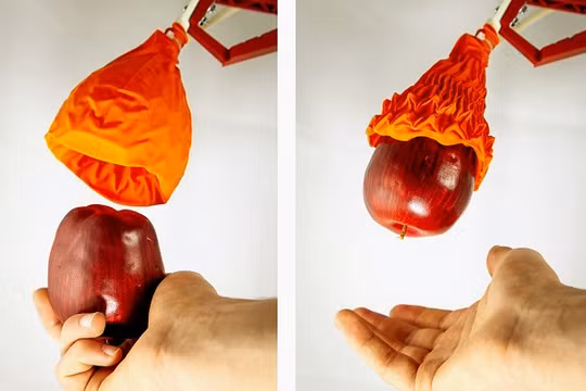 Robot Origami đang nhặt lấy trái táo từ bàn tay của nhà nghiên cứu.