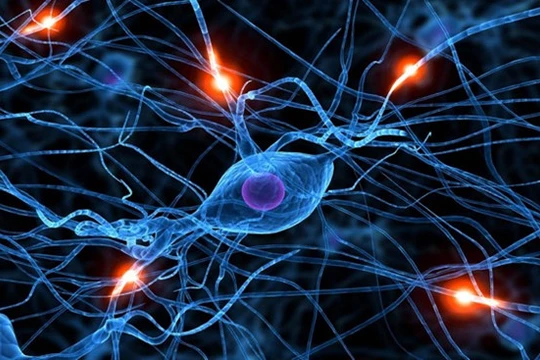 Mạng lưới nơron nhân tạo giúp máy móc hoạt động giống não người hơn. ẢNH: TOWARDS DATA SCIENCE