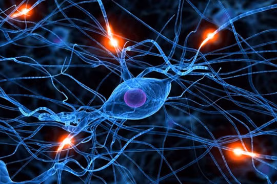 Mạng lưới nơron nhân tạo giúp máy móc hoạt động giống não người hơn. ẢNH: TOWARDS DATA SCIENCE