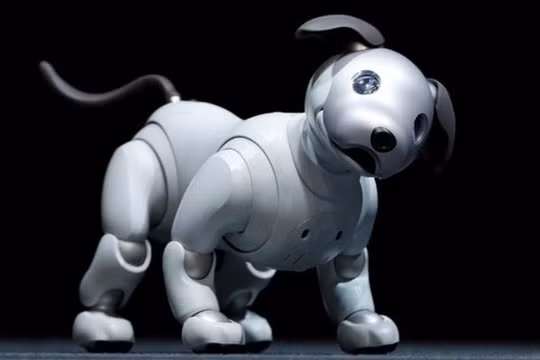 Chó Aibo, sản phẩm sáng tạo độc đáo của Sony. Ảnh: Sony. 