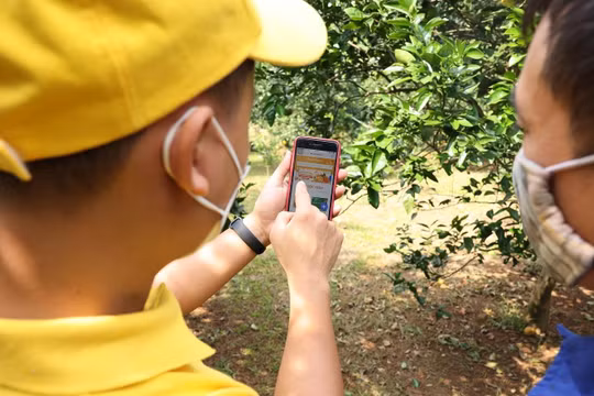 Học viên sẽ được tiếp cận với các nội dung về bán hàng trực tuyến, tiếp thị trực tuyến trên mạng xã hội.