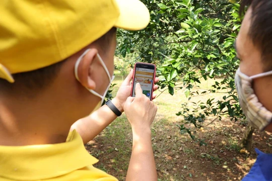 Học viên sẽ được tiếp cận với các nội dung về bán hàng trực tuyến, tiếp thị trực tuyến trên mạng xã hội.