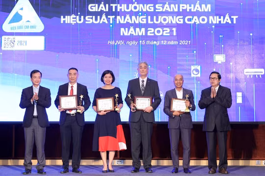 Các doanh nghiệp đạt giải thưởng Sản phẩm hiệu suất năng lượng cao nhất năm 2021.