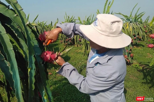 Khi được bảo hộ chỉ dẫn địa lý, đặc sản vùng miền gắn tên với các địa danh của Việt Nam được bảo hộ bằng một cơ chế bảo hộ tương đối mạnh.