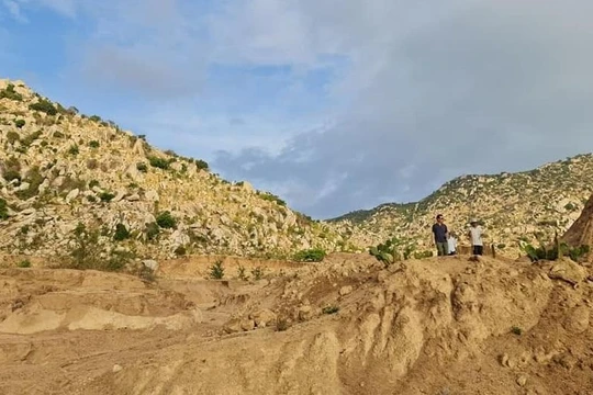 Grab Việt Nam và Quỹ Sống sẽ khởi động dự án với kế hoạch trồng 5 hecta rừng đầu nguồn tại huyện Thuận Nam, tỉnh Ninh Thuận.