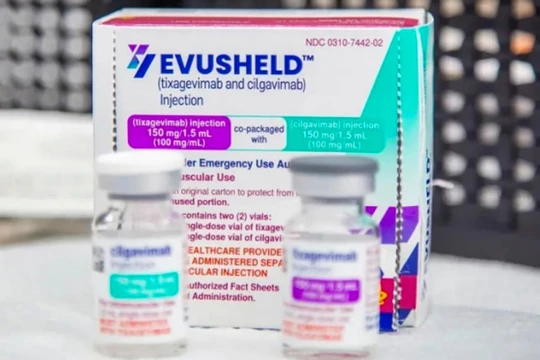 Thuốc Evusheld (ảnh BYT)
