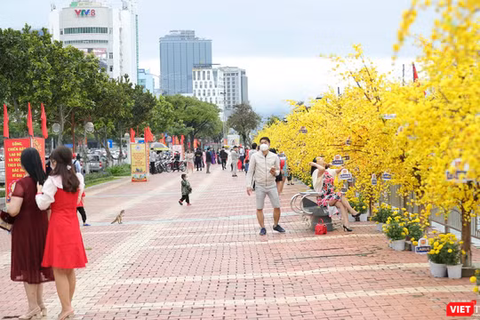 Người dân Đà Nẵng đổ ra đường hoa Bạch Đằng du xuân Nhâm Dần 2022