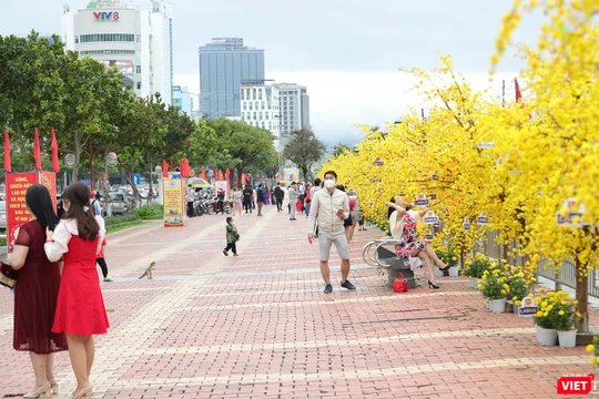 Người dân Đà Nẵng đổ ra đường hoa Bạch Đằng du xuân Nhâm Dần 2022