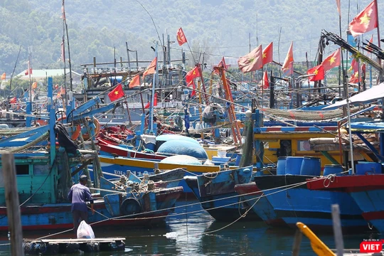 Thuyền thúng trên các tàu cá của ngư dân miền Trung