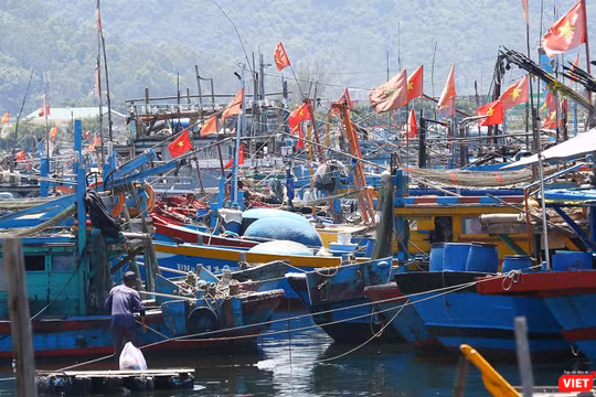 Thuyền thúng trên các tàu cá của ngư dân miền Trung