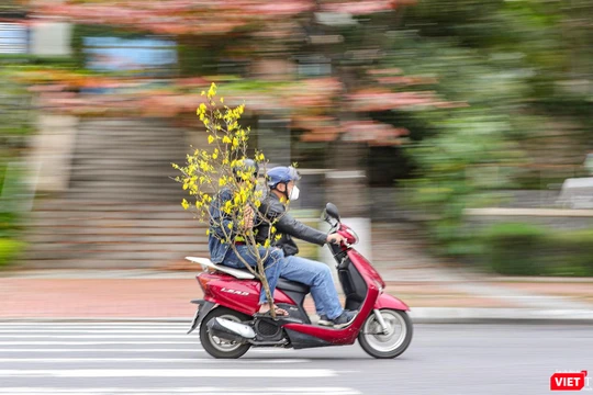 Người dân Đà Nẵng mua sắm hoa trang trí ngày Tết