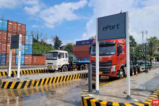 Cảng Đà Nẵng đưa ứng dụng ePort và Autogate vào vận hành, khai thác