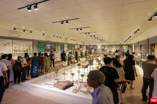 Quang cảnh triển lãm “Hóa thạch - Hành trình khám phá nguồn gốc sự sống trên Trái Đất” được tổ chức tại điểm di tích Bộ Học triều Nguyễn, địa chỉ số 76 Hàn Thuyên, TP Huế.
