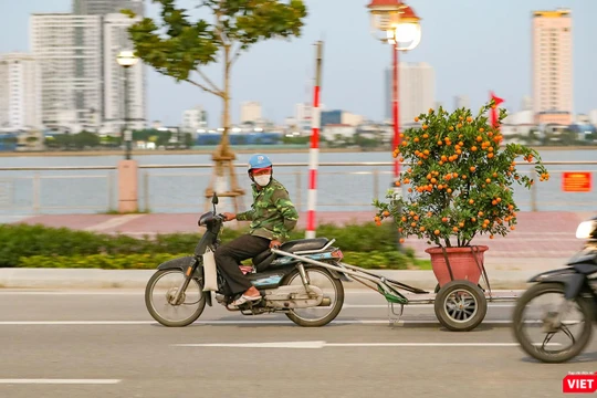 Chở Xuân về nhà