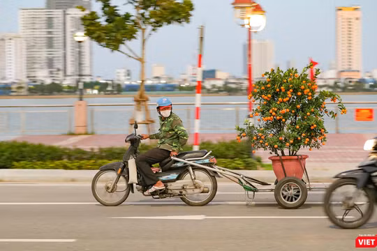 Chở Xuân về nhà