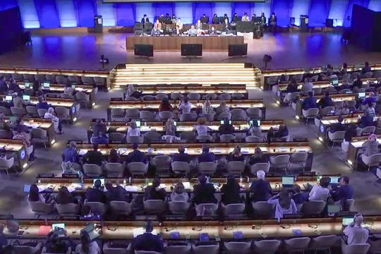 Quang cảnh cuộc họp (ảnh VGP)