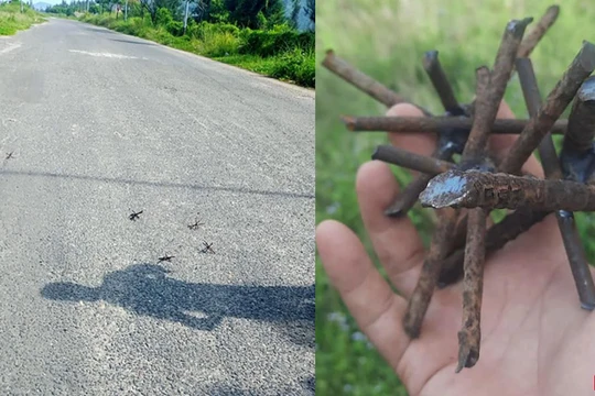 Cận cảnh đinh gai được người dân phát hiện trên đường Khúc Thừa Dụ (phường Nại Hiên Đông, quận Sơn Trà, TP Đà Nẵng) 