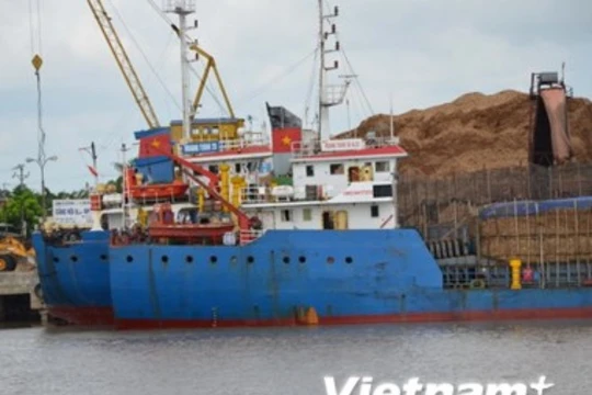 Tàu Hoàng Tuấn 28 vi phạm quy định an toàn hàng hải. (Ảnh: Hoàng Ngọc/Vietnam )