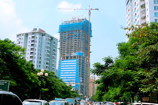 Dự án Diamond Flower Tower
