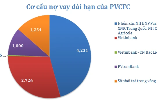 Ai là chủ khoản nợ gần 8.000 tỷ của Đạm Cà Mau?