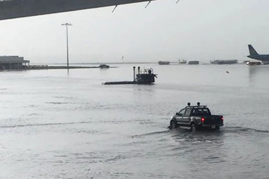 Khu vực sân đậu máy Sân bay Tân Sơn Nhất tiếp tục ngập nặng trong trận mưa chiều 11.9.