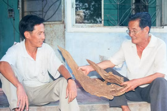 Một cục trầm của phu trầm Đại Lộc tìm thấy đưa về nhà