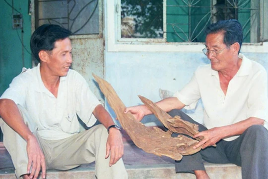 Một cục trầm của phu trầm Đại Lộc tìm thấy đưa về nhà