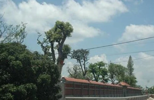 Bên ngoài của “dinh thự” 