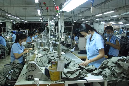 Một xí nghiệp dệt may tại TP HCM