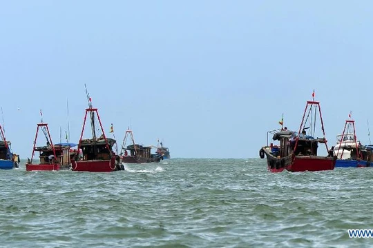 Tàu cá Trung Quốc