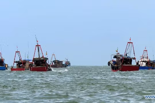 Tàu cá Trung Quốc