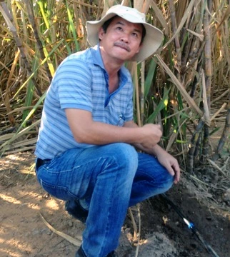 Bầu Đức ngoài trồng cao su vừa mở rộng thêm sang chăn nuôi bò thịt