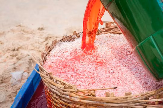 Ảnh ướp ruốc bằng hóa chất đang gây “bão” mạng - Ảnh: Lê My