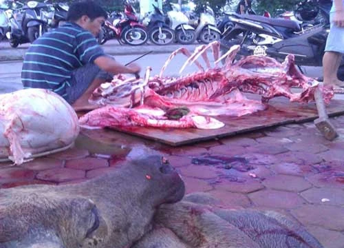 Một "đồ tể" đang lọc mỡ, gân lợn sề chuẩn bị tẩm ướp thành thịt bò.