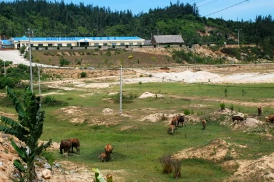 Nhiều dự án tỷ đô đã bị thu hồi, hoặc bỏ hoang, chậm triển khai, khiến dư luận bức bối.