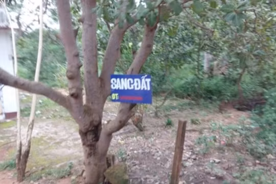 Cơn sốt đất tại Phú Quốc đang nóng lên từng ngày