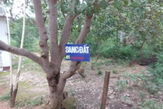 Cơn sốt đất tại Phú Quốc đang nóng lên từng ngày