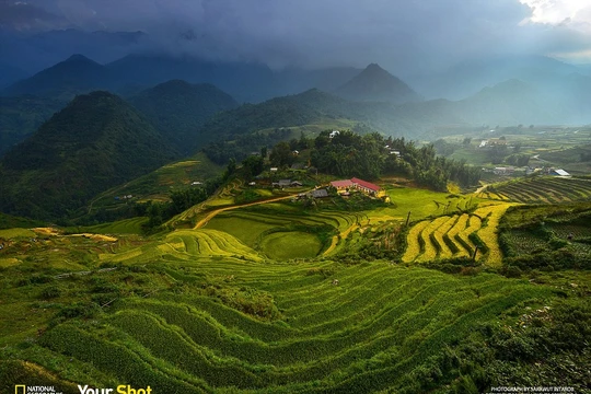 Mây sà xuống những thửa ruộng bậc thang đẹp sững sờ ở miền núi Việt Nam