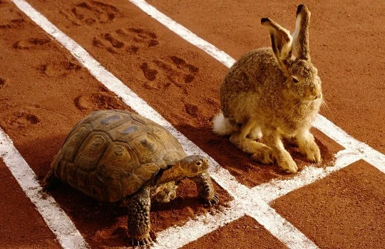 Ngành bất động sản: Chủ đầu tư “nhanh chân”, lãi tăng mạnh