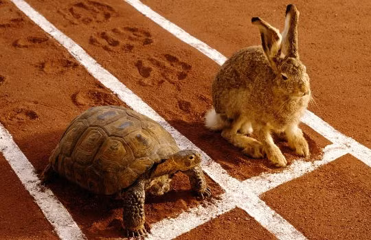 Ngành bất động sản: Chủ đầu tư “nhanh chân”, lãi tăng mạnh