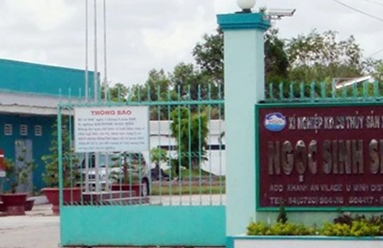 Xí nghiệp Ngọc Sinh để lại món nợ 300 tỷ đồng.