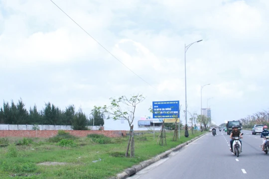 Đây là vệt đất ở phường Khuê Mỹ (quận Ngũ Hành Sơn) do ông Lý Phước Cang đứng tên mua - Ảnh: H.Khá